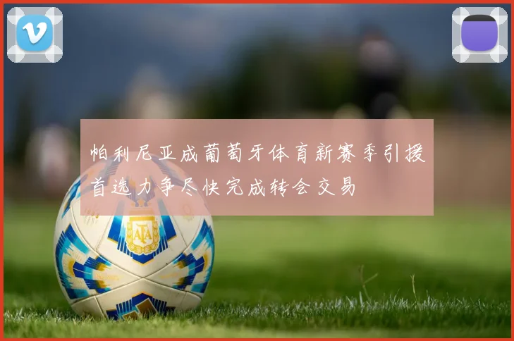 帕利尼亚成葡萄牙体育新赛季引援首选力争尽快完成转会交易