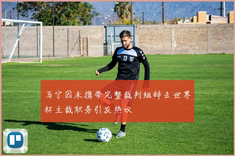 马宁因未携带完整裁判组辞去世界杯主裁职务引发热议