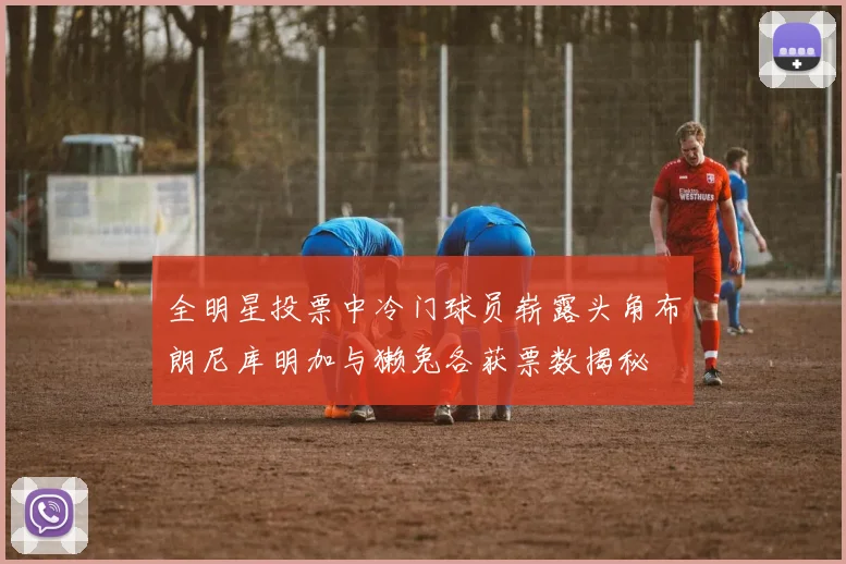 全明星投票中冷门球员崭露头角布朗尼库明加与獭兔各获票数揭秘