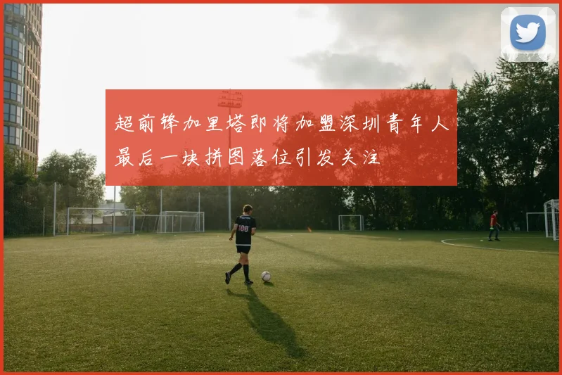 超前锋加里塔即将加盟深圳青年人最后一块拼图落位引发关注